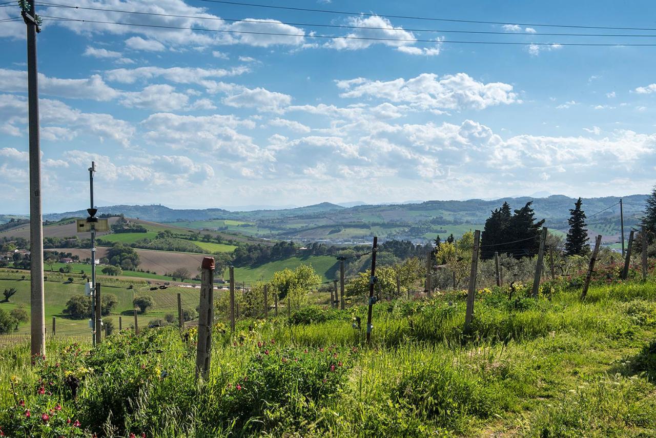 A11 - Varano, Delizioso Trilocale Con Giardino Ancona Eksteriør bilde