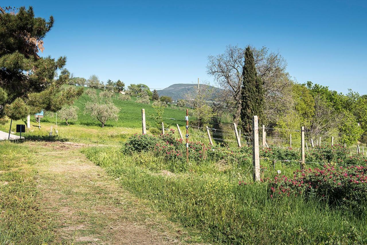 A11 - Varano, Delizioso Trilocale Con Giardino Ancona Eksteriør bilde